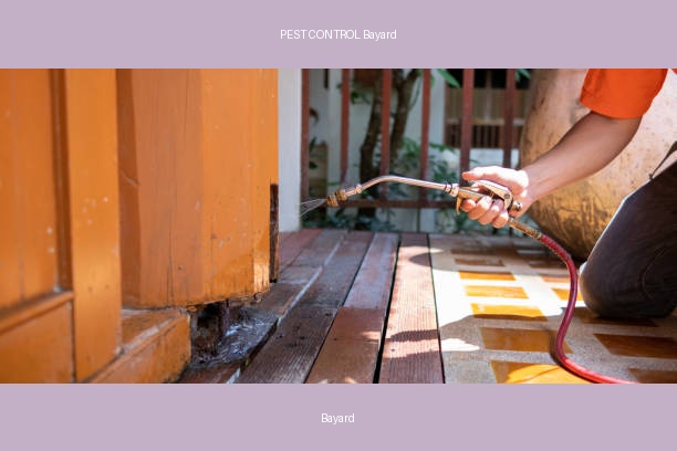 PEST CONTROL Bayard